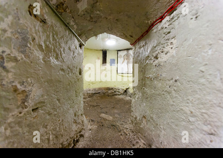 Il dungeon sotto Enniscorthy Castle Museum ospita una misteriosa parete storico dipinto un Halberdier Co Wexford, Irlanda Foto Stock