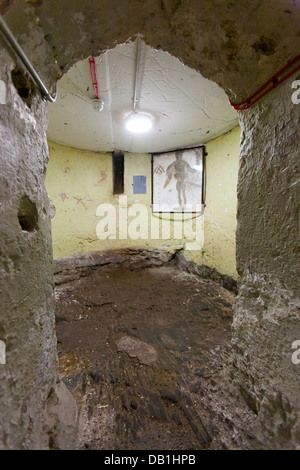 Il dungeon sotto Enniscorthy Castle Museum ospita una misteriosa parete storico dipinto un Halberdier Co Wexford, Irlanda Foto Stock