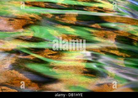 Estate riflessioni in Swale vicino Kisdon vigore nei pressi di Keld Swaledale Yorkshire Dales Inghilterra Foto Stock