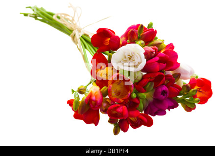 Bouquet di red fresia fiori Foto Stock