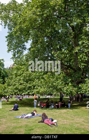 Albero piano e persone rilassante. Brunswick Square, Bloomsbury, Camden, London, England Foto Stock