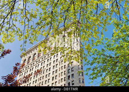 Il Flatiron Building in primavera, Manhattan, New York City. Foto Stock