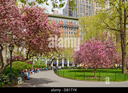 Le persone che si siedono sui banchi del Parco godendo di Madison Square Park di New York City in primavera. Foto Stock