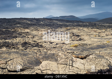 Lichen covereed flusso di lava pahoehoe dall eruzione1730-36, con de la Caldera de los Cuervos in background Foto Stock