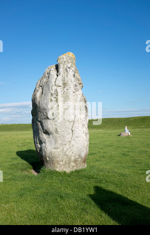 Avebury Stone Curcle Foto Stock