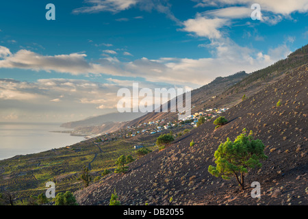La costa sud-occidentale di La Palma, Canarie, con i suoi vulcani, vigneti e il villaggio di las Indias Foto Stock