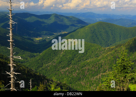 Vista di Maggie Valley dalla manopola Waterrock, Blue Ridge Parkway, North Carolin, STATI UNITI D'AMERICA Foto Stock