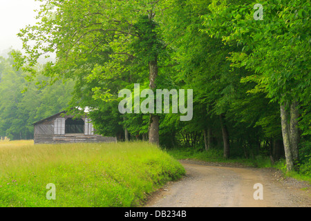 Fienile vicino a casa di Caldwell in Valle Cataloochee, Great Smoky Mountains National Park, North Carolina, STATI UNITI D'AMERICA Foto Stock