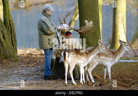 Una donna e un bambino feed daini in un parco selvatico a Duesseldorf in Germania, 20 dicembre 2007. L'odierna bassa stratus si dissolverà entro il fine settimana e le temperature saliranno a moderata da 5 a 10 gradi Celsius. Foto: HORST OSSINGER Foto Stock