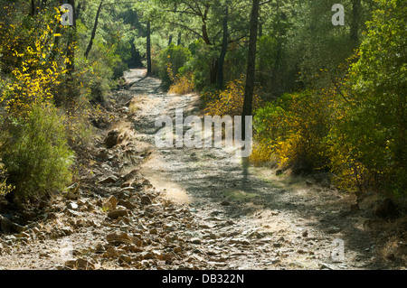 Asien, Türkei, Provinz Antalya, der Lykische Weg (Likya Yolu) von Tekirova nach Olympos Foto Stock