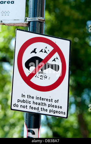 Non alimentare i piccioni segno, Sutton Coldfield, Regno Unito Foto Stock