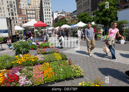 Impianti per la vendita su Union Square greenmarket Foto Stock