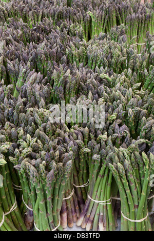 Asparagi viola in vendita su Union Square greenmarket, New York City Foto Stock