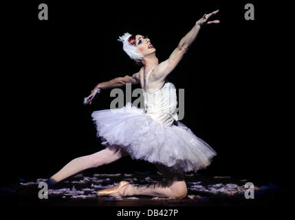 Duesseldorf, Germania. 23 Luglio, 2013. La ballerina Gerd Tord dalla compagnia di balletto "Les Ballets Trockadero de Monte Carlo' danze il 'dying swan" durante una chiamata premere per il tedesco premiere a Reno Opera a Duesseldorf in Germania, 23 luglio 2013. L'Opera tedesca sul Reno ospita il balletto di trascinamento gruppo dal 23 fino al 28 luglio 2013. Foto: HORST OSSINGER/dpa/Alamy Live News Foto Stock