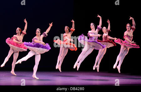 Duesseldorf, Germania. 23 Luglio, 2013. Ballerini dalla compagnia di balletto "Les Ballets Trockadero de Monte Carlo' danze durante una chiamata premere per il tedesco premiere a Reno Opera a Duesseldorf in Germania, 23 luglio 2013. L'Opera tedesca sul Reno ospita il balletto di trascinamento gruppo dal 23 fino al 28 luglio 2013. Foto: HORST OSSINGER/dpa/Alamy Live News Foto Stock