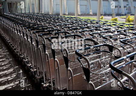 Diversi carrelli per trasportare i bagagli in aeroporto Foto Stock