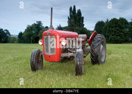 Rinnovato rosso Massey Ferguson 35 Trattore con prese al tramonto nel campo Foto Stock