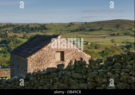 Guardando oltre il campo di pietra nel fienile, Scenic, verde rolling farmland & le ondulate colline di Wharfedale nel Yorkshire Dales - vicino a Simon della Seat, England, Regno Unito Foto Stock