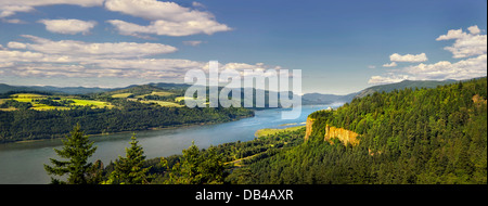 Vista verso est sul Columbia River Gorge, Oregon, Washington, U.S.A. Foto Stock