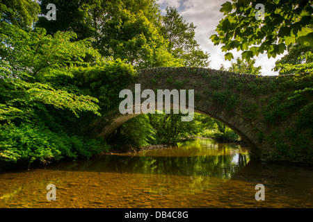 Primavera soleggiata vista della appartata, Scenic, pietra packhorse bridge & fluenti stream (Walden Beck) - West Burton, North Yorkshire, Inghilterra, Regno Unito. Foto Stock