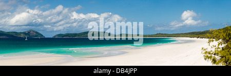 Vista lungo Whitehaven Beach su Whitsunday Island. Whitsunday Islands National Park, Whitsundays, Queensland, Australia Foto Stock