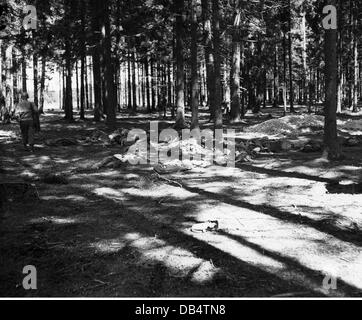 Nazismo / nazionalsocialismo, crimini, omicidio di prigionieri dal campo di concentramento Landsberg am Lech da parte delle SS, cadaveri nella foresta, 30.4.1945, diritti aggiuntivi-clearences-non disponibile Foto Stock