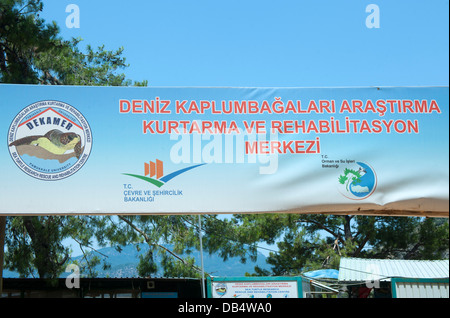 Türkei, Provinz Mugla, Dalyan, Schildkröten-Krankenhaus am Iztuzu-Strand bei der Ortschaft Gökbel Foto Stock