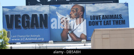 Un cartellone pubblicitario per "l'ultima opportunità per animali' organizzazione, mostrando Mike Tyson baciare una colomba bianca. Il promo, con lo slogan "GAN. Amare gli animali non li mangio", può essere visto su Sunset Boulevard Los Angeles, California - 27.04.11 Foto Stock