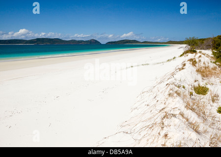 Vista lungo Whitehaven Beach su Whitsunday Island. Whitsunday Islands National Park, Whitsundays, Queensland, Australia Foto Stock