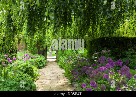 Inizio estate le frontiere della terrazza giardino incorniciato da un pianto faggio, Cottesbrooke Hall, Northamptonshire, Inghilterra Foto Stock