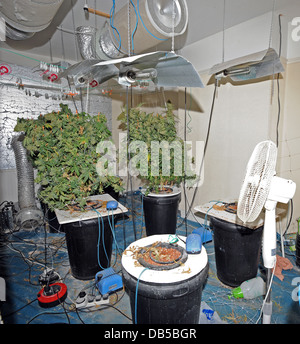 Fabbrica di cannabis si trova in una strada residenziale dopo un raid della polizia Foto Stock