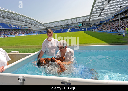 I Testimoni di Geova utilizzano una speciale piscina a battezzare i nuovi membri nella religione durante una Bibbia-basati convenzione nel Sussex Foto Stock