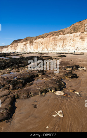 Alani Dyke Beach, East Yorkshire, Regno Unito Foto Stock