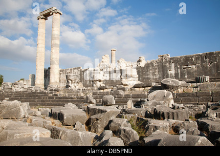 Tempio di Apollo, area archeologica, didyma, sud della costa egea, Turchia, Asia Foto Stock
