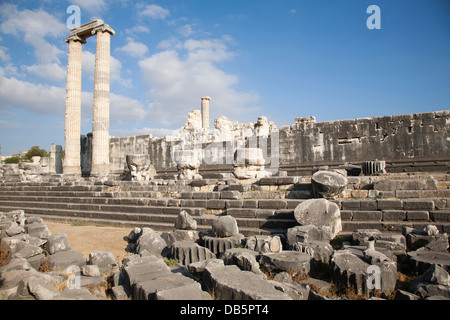 Tempio di Apollo, area archeologica, didyma, sud della costa egea, Turchia, Asia Foto Stock