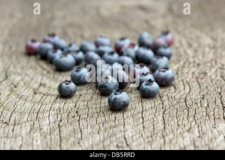 Vaccinium corymbosum. Scelto mirtillo Frutta Spartan su legno Foto Stock