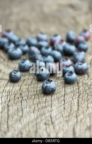 Vaccinium corymbosum. Scelto mirtillo Frutta Spartan su legno Foto Stock