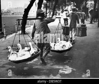 Geografia / viaggio, Cina, commercio, agricoltore che trasporta le loro oche al mercato, Shanghai, anni 50, , diritti aggiuntivi-clearences-non disponibile Foto Stock