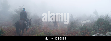 La gente a cavallo nella foresta di nebbia Foto Stock