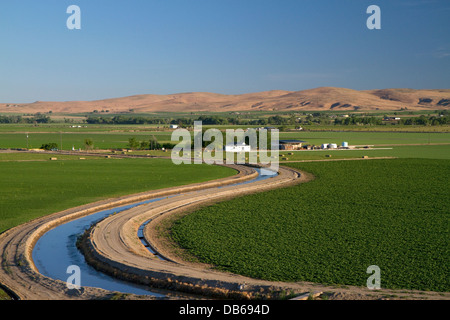 Terreni agricoli ed irrigazione canal vicino a Vale, Oregon, Stati Uniti d'America. Foto Stock