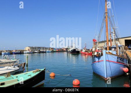 Barche da pesca in porto. Hirtshals, Nord dello Jutland, Danimarca Foto Stock