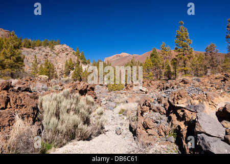 Escursione per Paisaje Lunar vicino a Vilaflor, Tenerife, Isole Canarie, Spagna Foto Stock