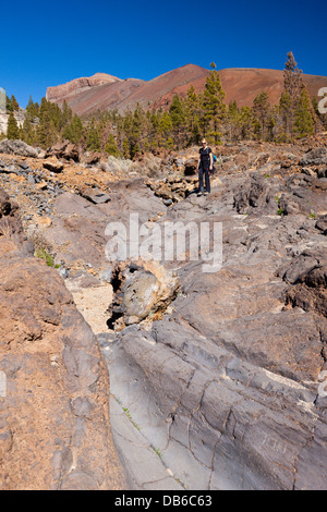 Escursione per Paisaje Lunar vicino a Vilaflor, Tenerife, Isole Canarie, Spagna Foto Stock