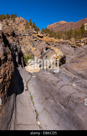 Escursione per Paisaje Lunar vicino a Vilaflor, Tenerife, Isole Canarie, Spagna Foto Stock