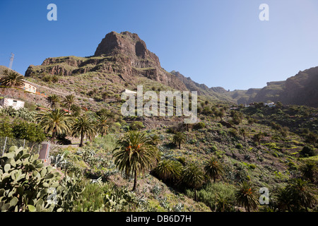 Ingresso al Masca Gorge, Tenerife, Isole Canarie, Spagna Foto Stock