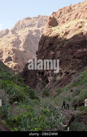 Masca Gorge escursione, Tenerife, Isole Canarie, Spagna Foto Stock