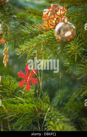 Decorazioni natalizie, baule e fiocchi di neve sul vero albero di Natale Foto Stock