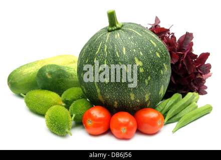 Ortaggi freschi - Verde zucca, cetriolo, pomodoro e okras, amaranto, kakrol Foto Stock