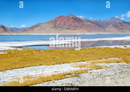 Salt Lake Tso Kar in Ladakh, India, altitudine 4530 metri Foto Stock