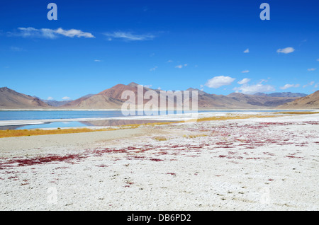 Salt Lake Tso Kar in Himalaya, Ladakh, India, altitudine 4530 m Foto Stock